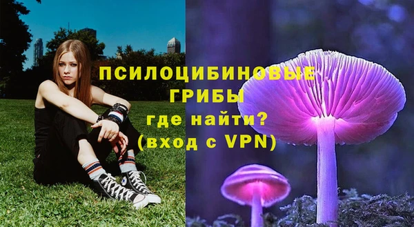 стафф Балахна