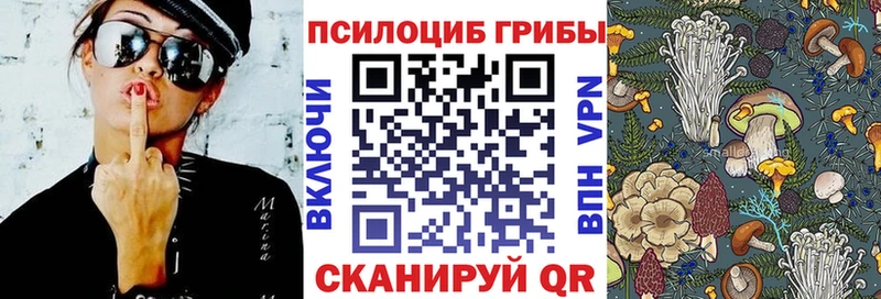 наркошоп  Спас-Деменск  Псилоцибиновые грибы мицелий 